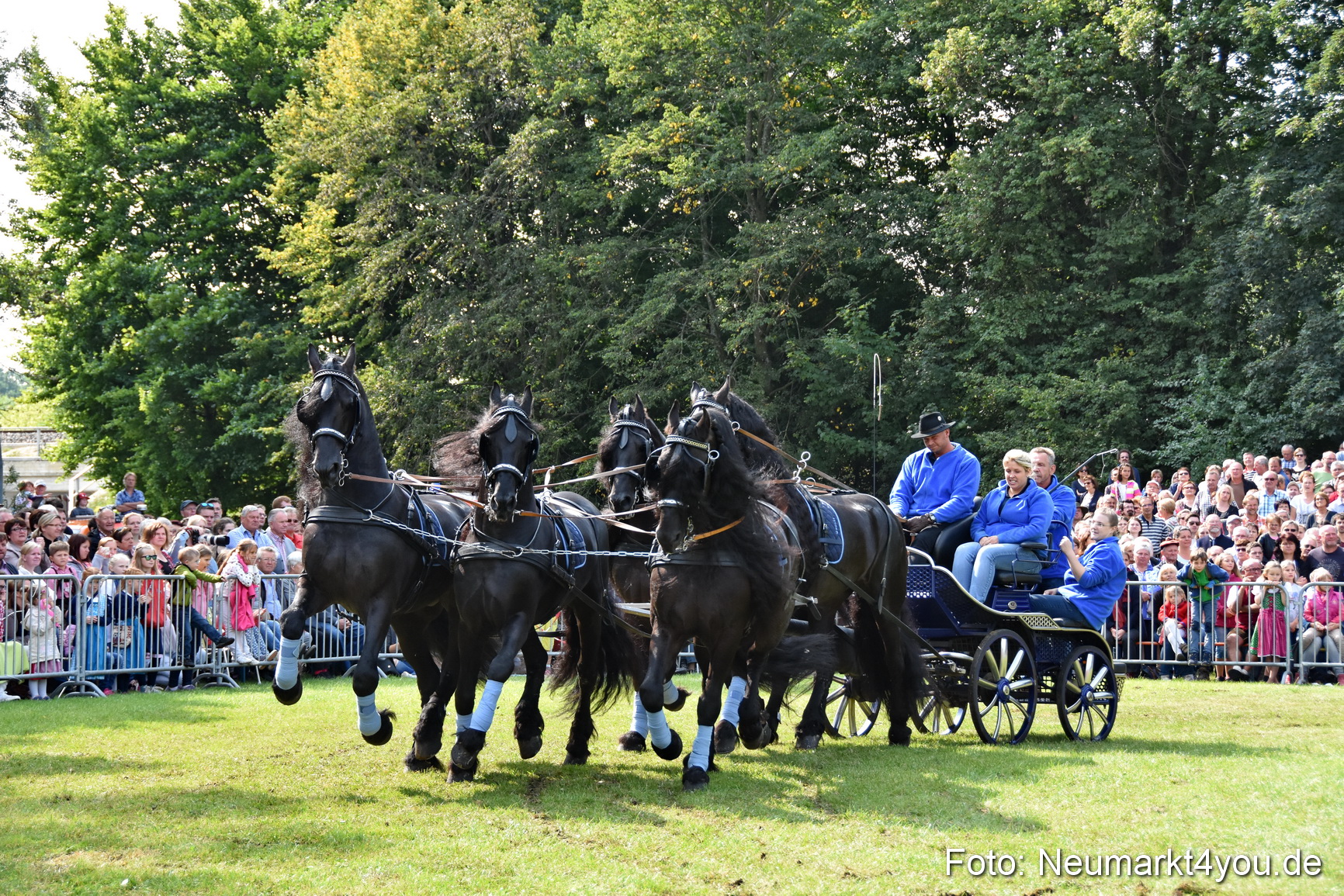 Pferde und Fohlenschau 2017 0217