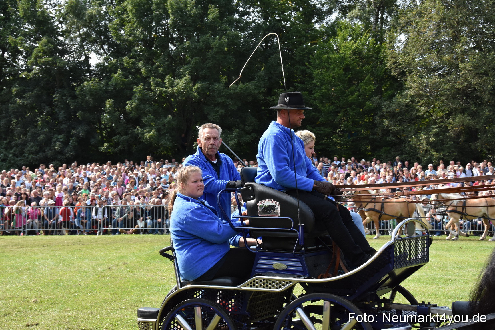 Pferde und Fohlenschau 2017 0218