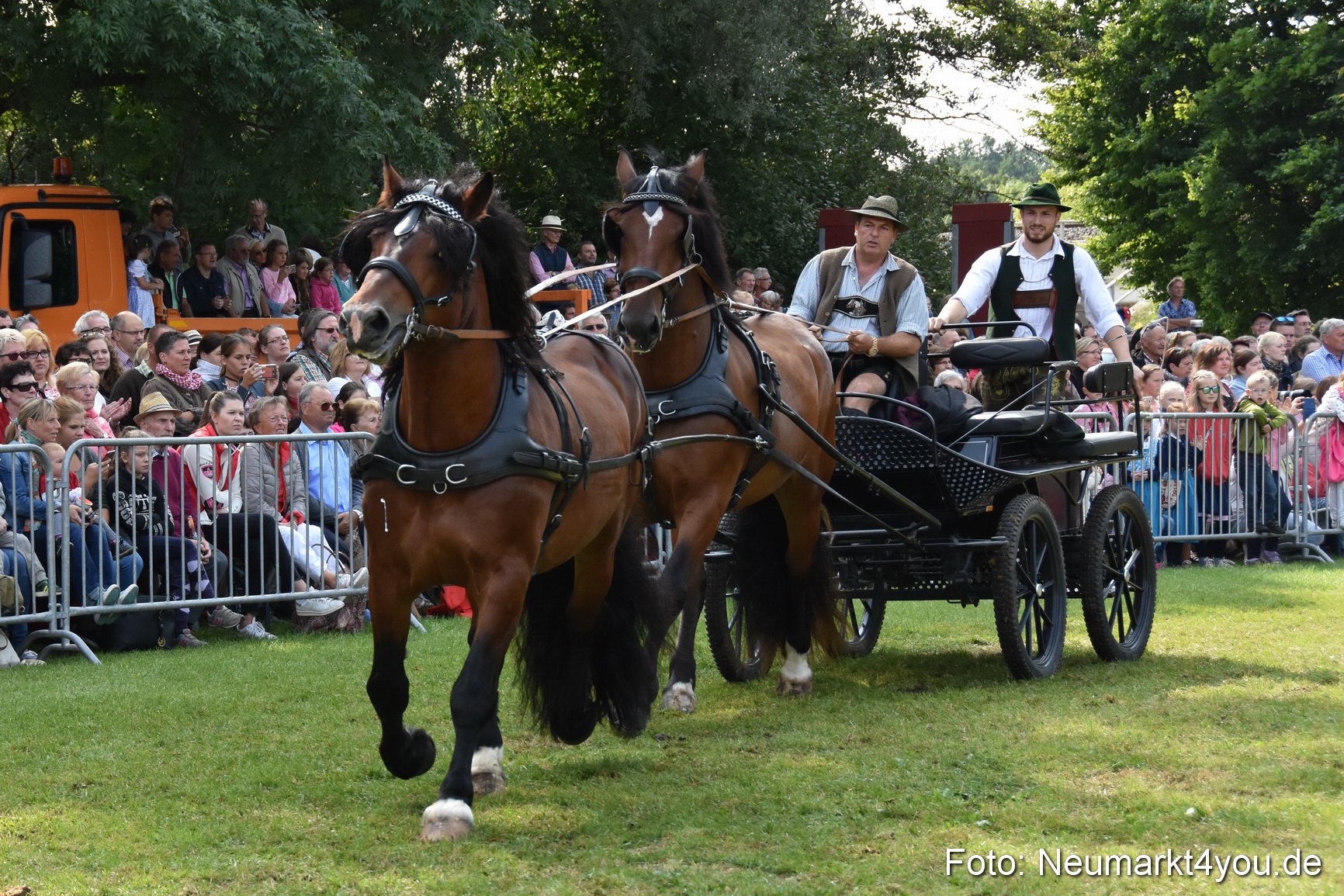 Pferde und Fohlenschau 2017 0224