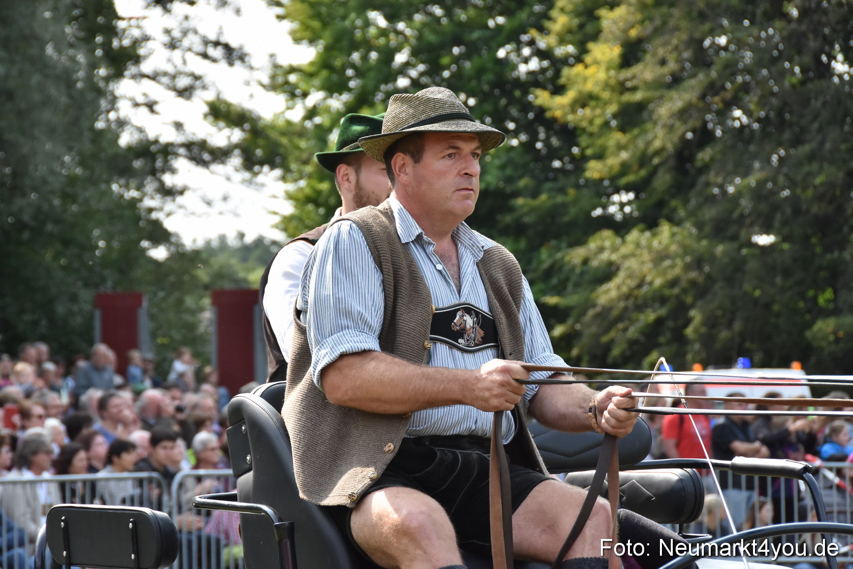 Pferde und Fohlenschau 2017 0226