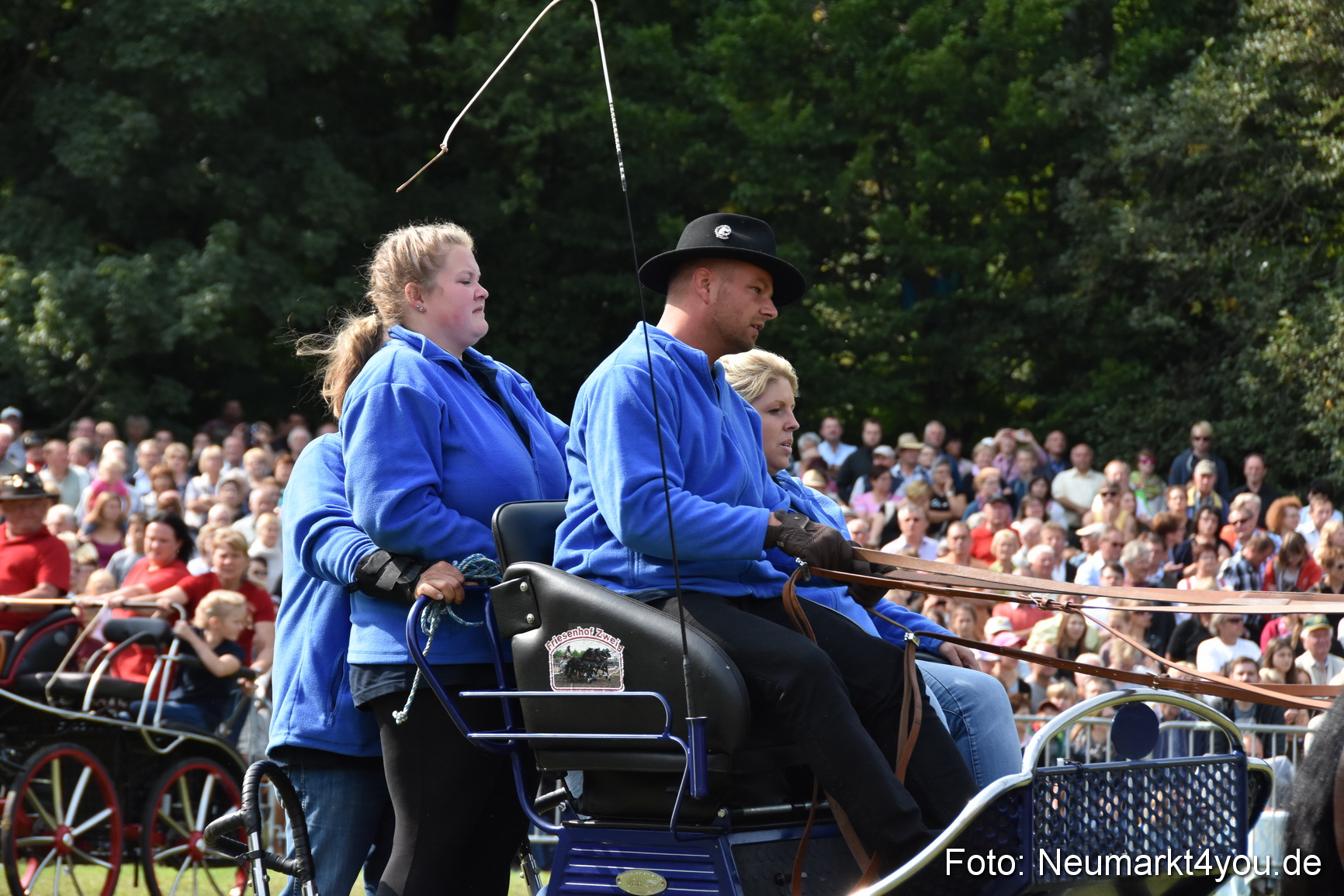 Pferde und Fohlenschau 2017 0228