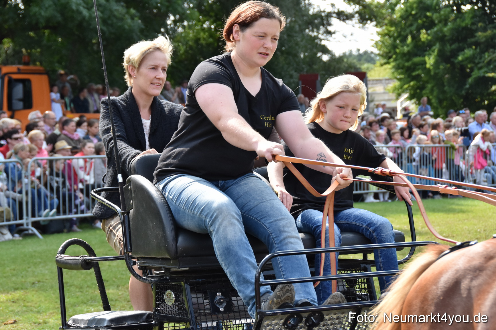 Pferde und Fohlenschau 2017 0232