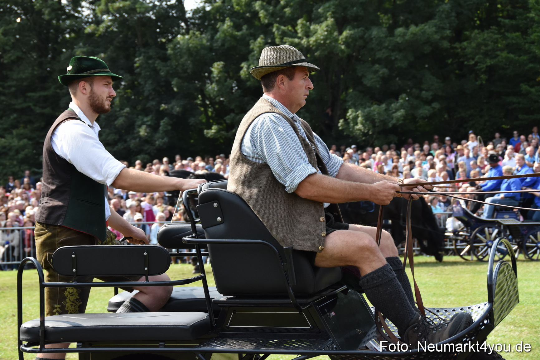 Pferde und Fohlenschau 2017 0237