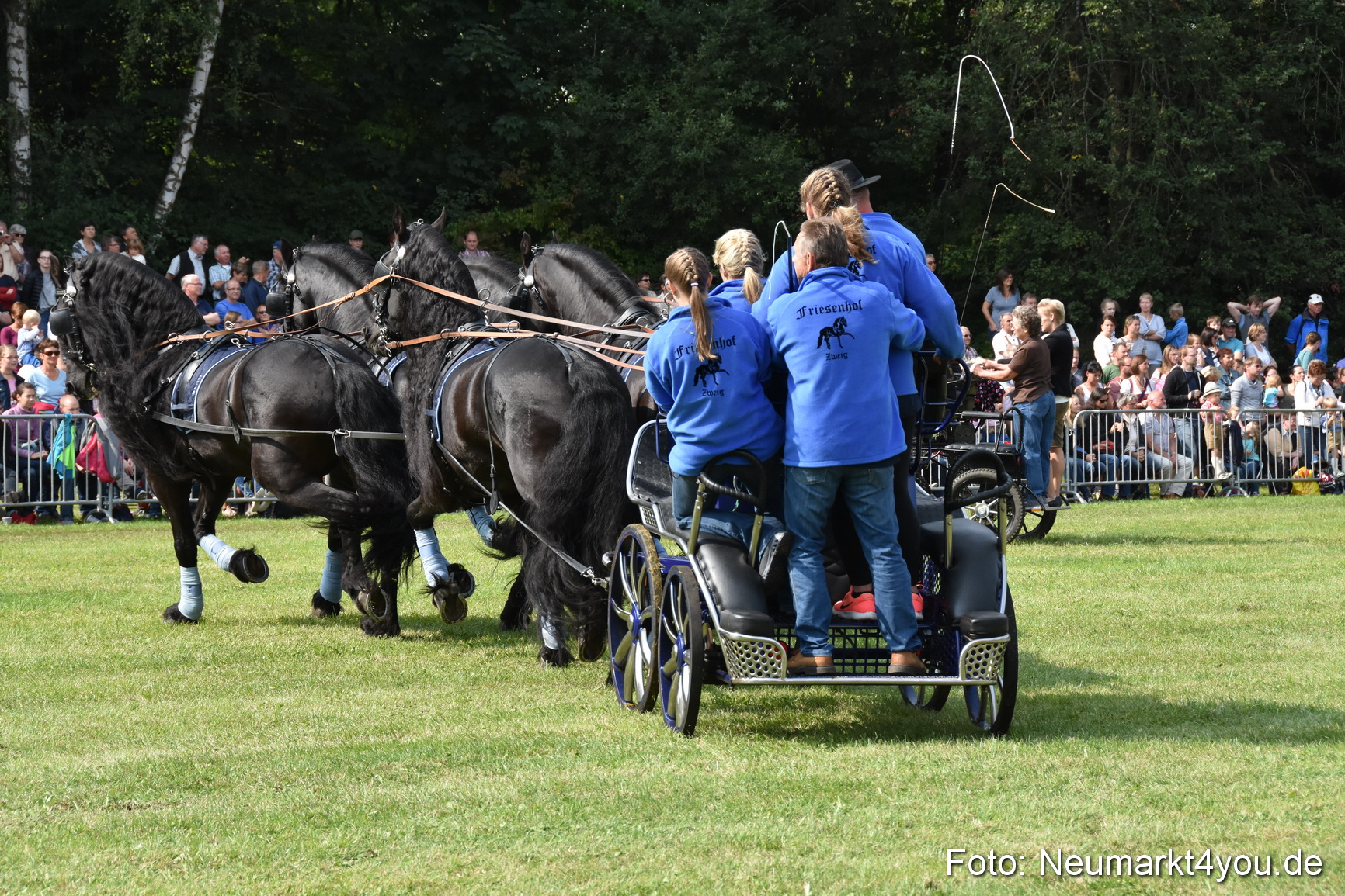 Pferde und Fohlenschau 2017 0240