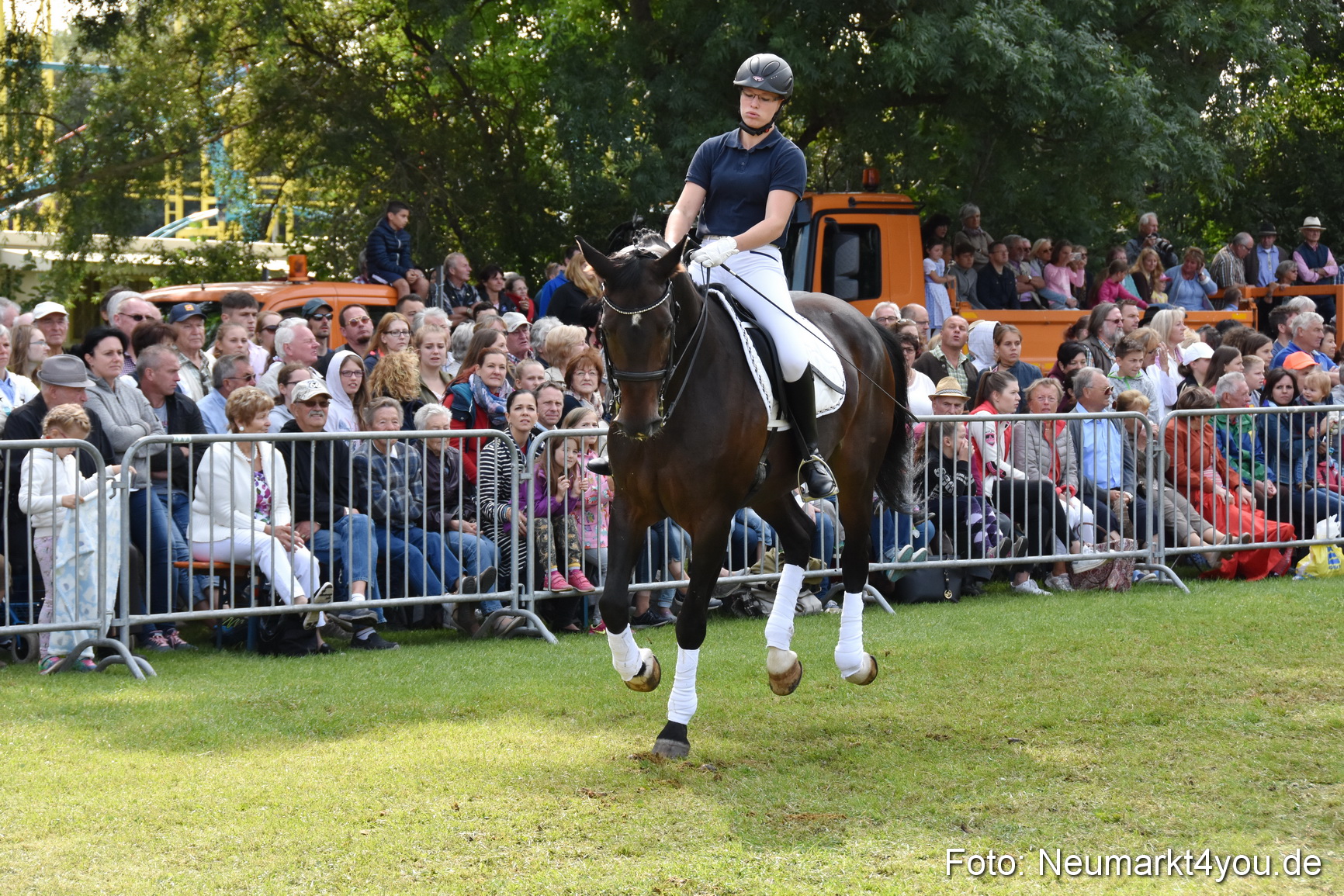 Pferde und Fohlenschau 2017 0244