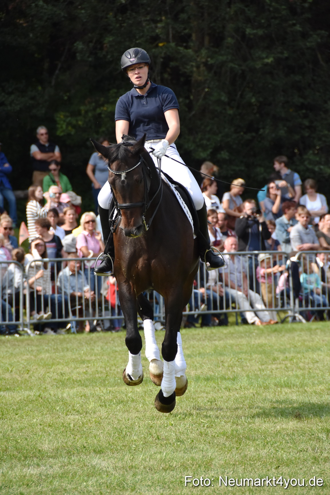 Pferde und Fohlenschau 2017 0245