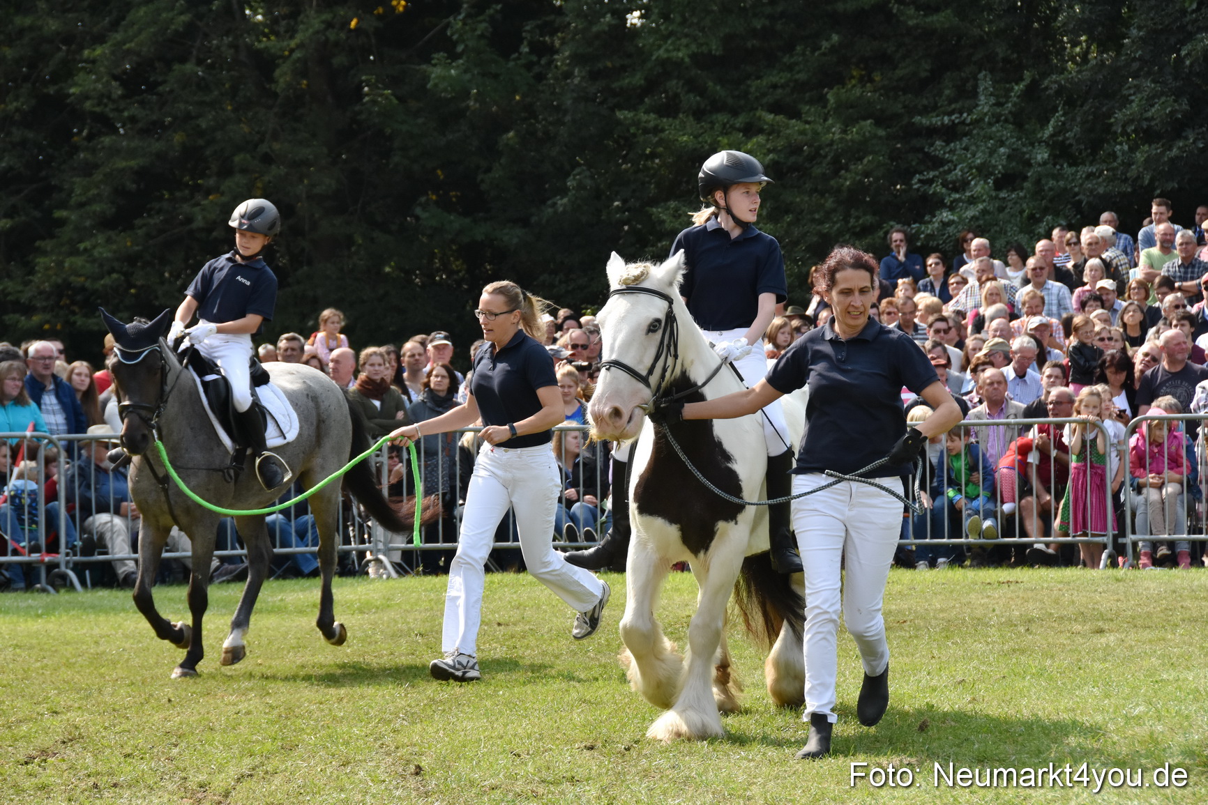 Pferde und Fohlenschau 2017 0246