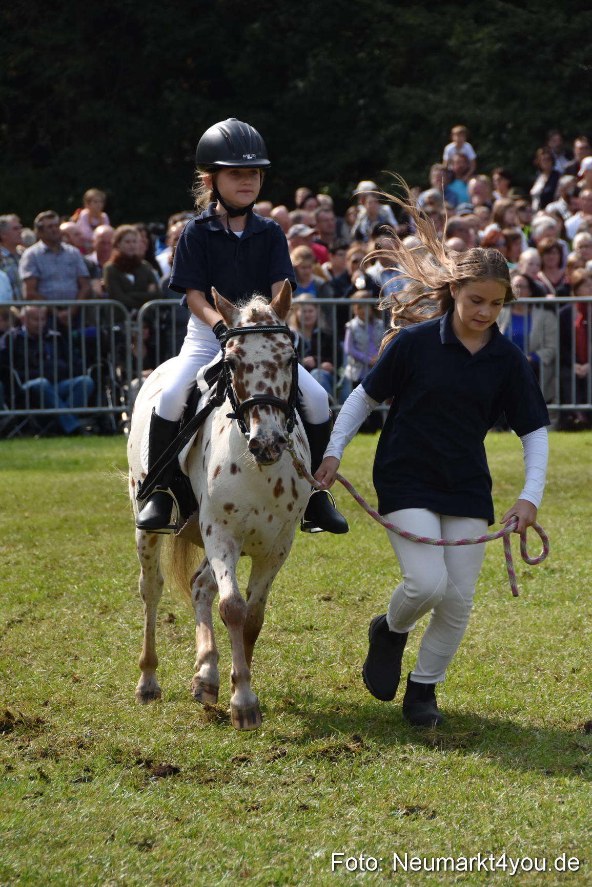 Pferde und Fohlenschau 2017 0247