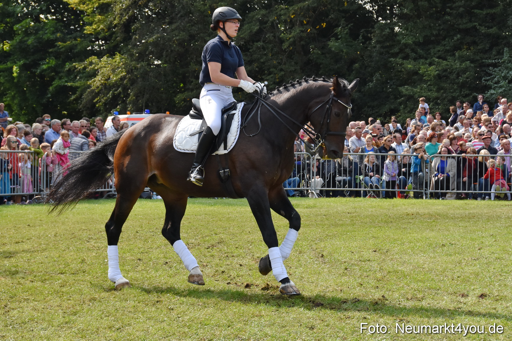 Pferde und Fohlenschau 2017 0248