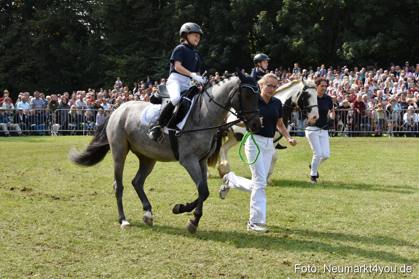 Pferde und Fohlenschau 2017 0249