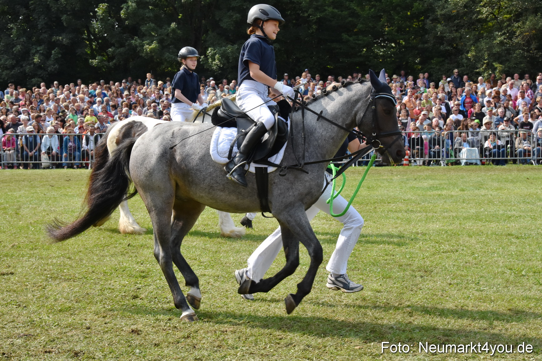 Pferde und Fohlenschau 2017 0250