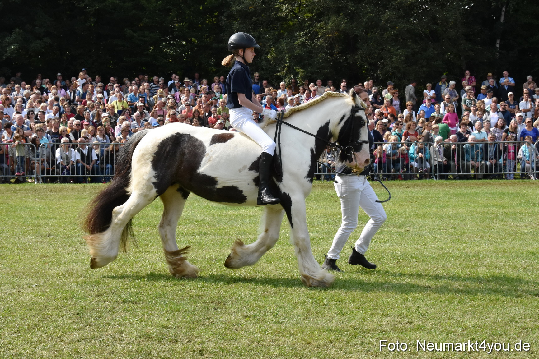 Pferde und Fohlenschau 2017 0251