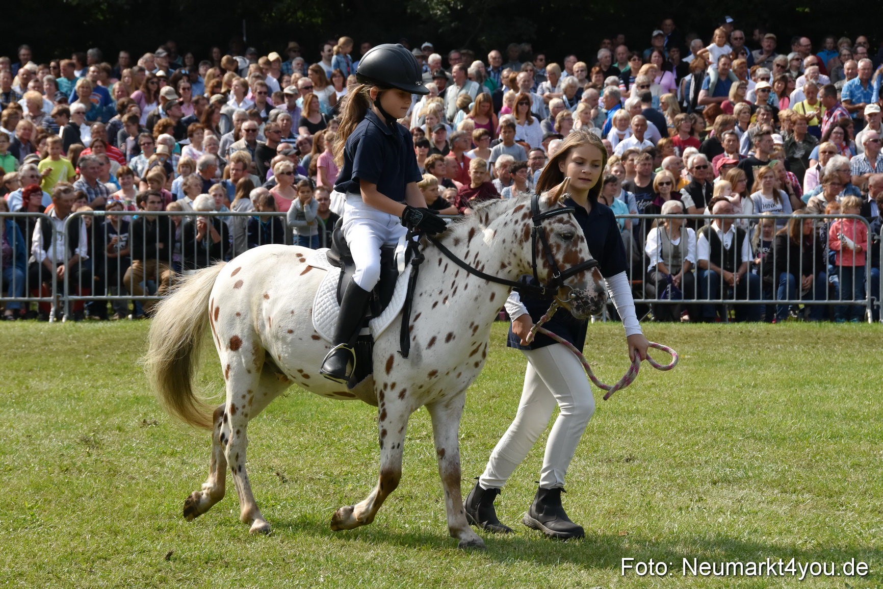 Pferde und Fohlenschau 2017 0252