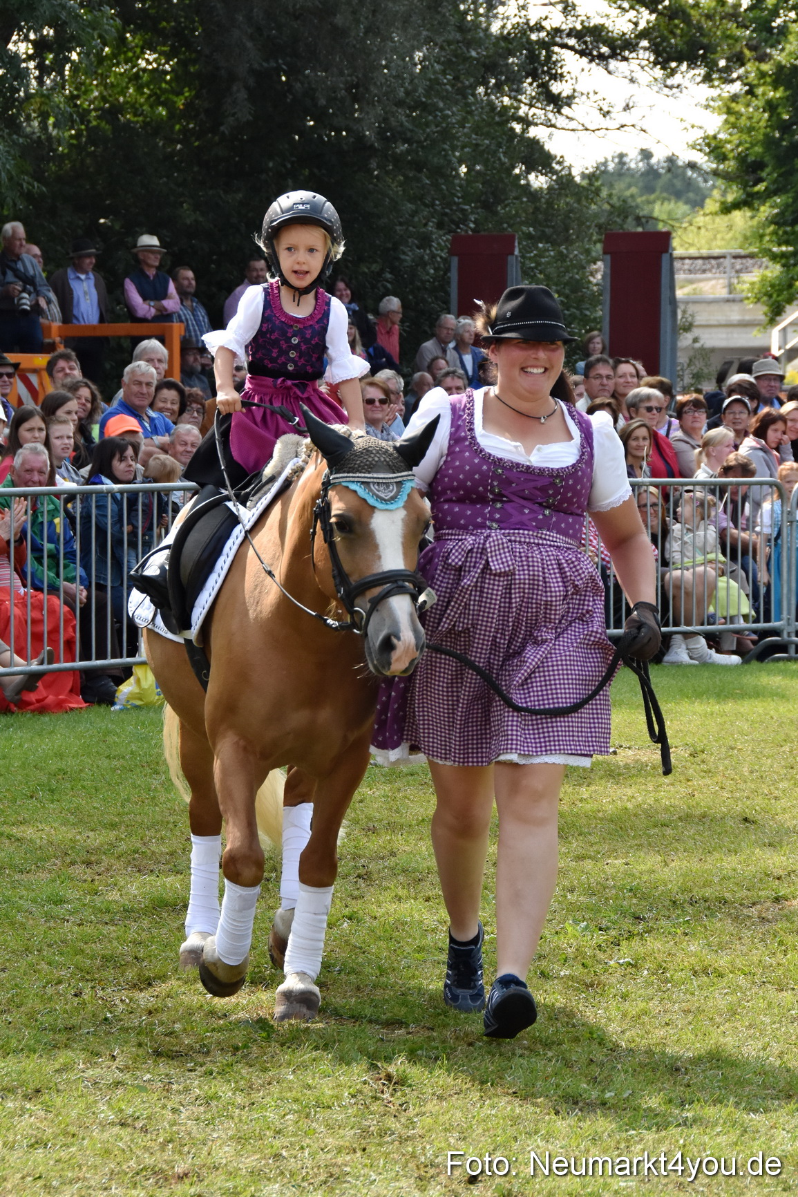 Pferde und Fohlenschau 2017 0254