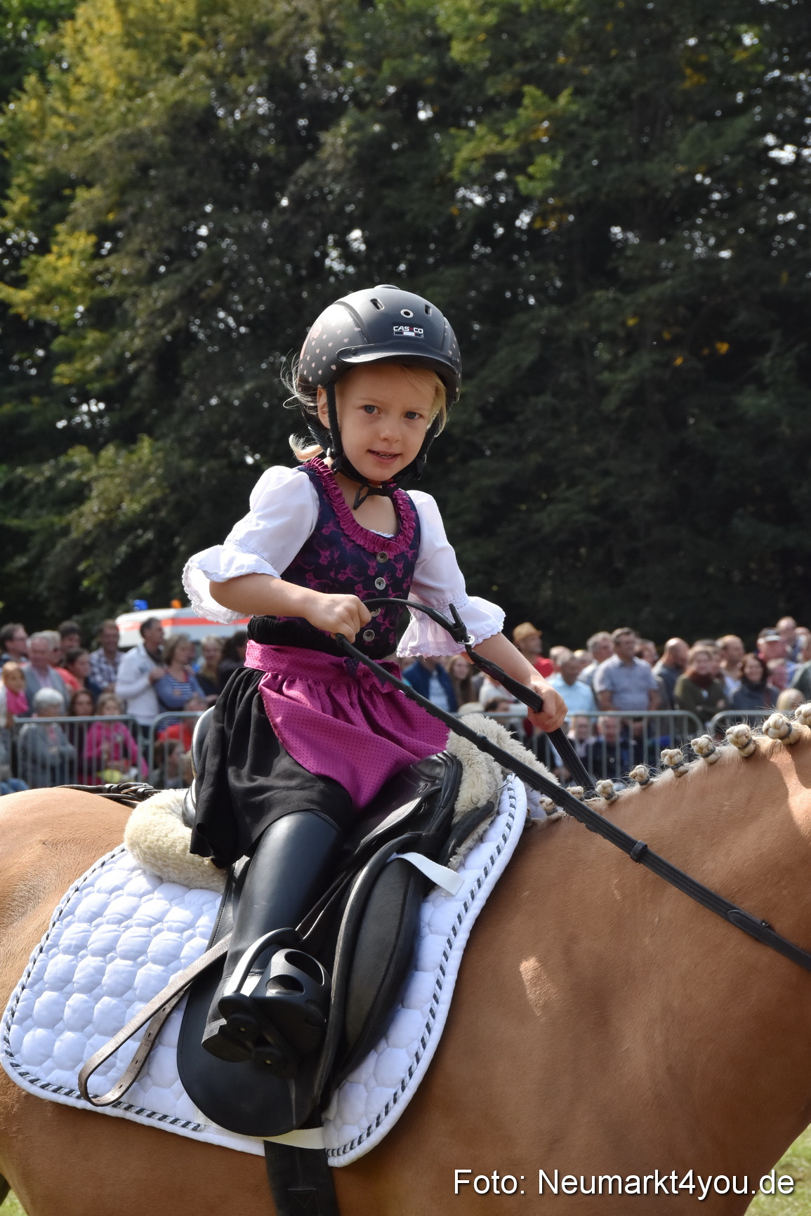 Pferde und Fohlenschau 2017 0255