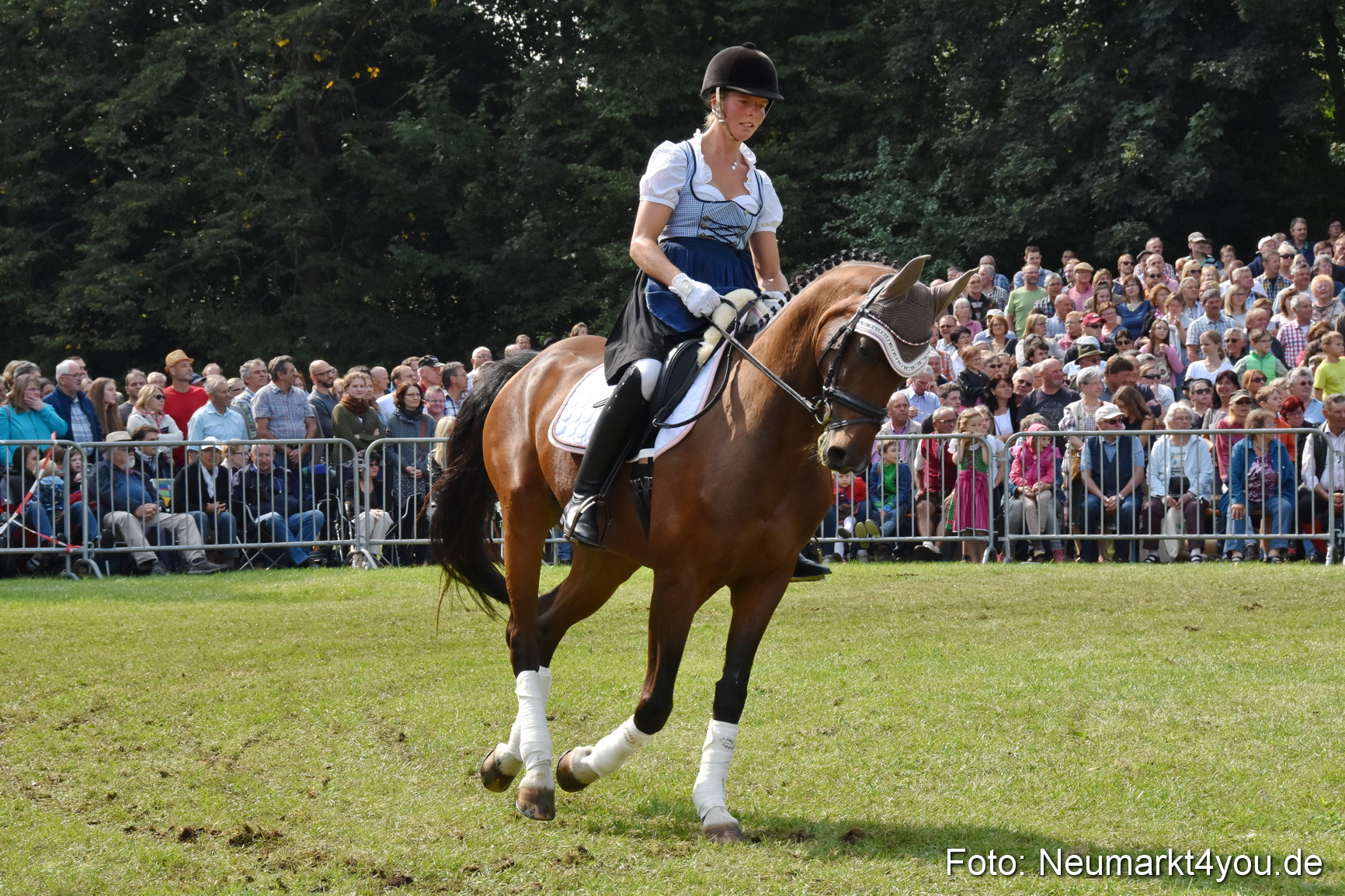 Pferde und Fohlenschau 2017 0256