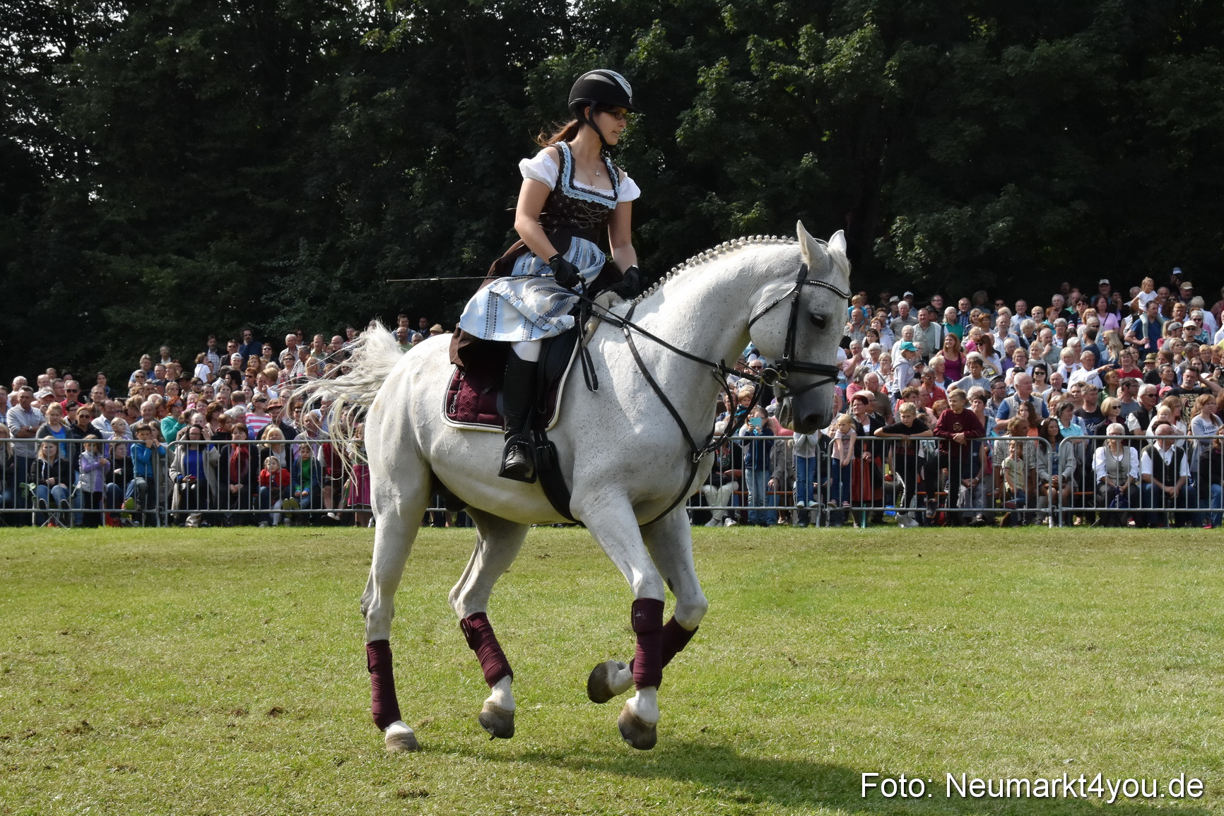 Pferde und Fohlenschau 2017 0257