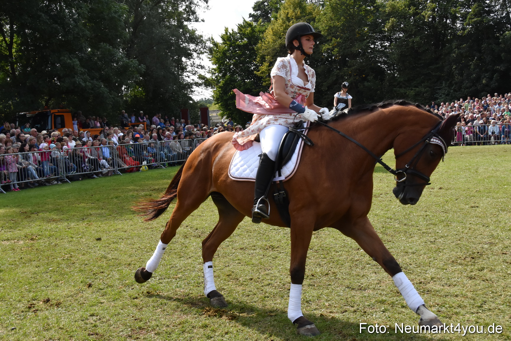Pferde und Fohlenschau 2017 0258