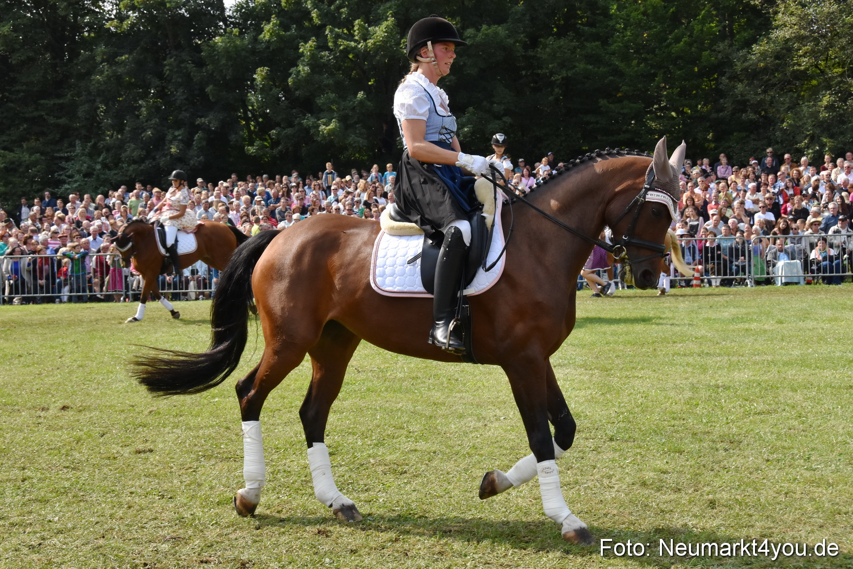 Pferde und Fohlenschau 2017 0259