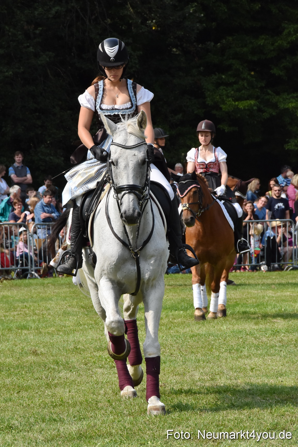 Pferde und Fohlenschau 2017 0261