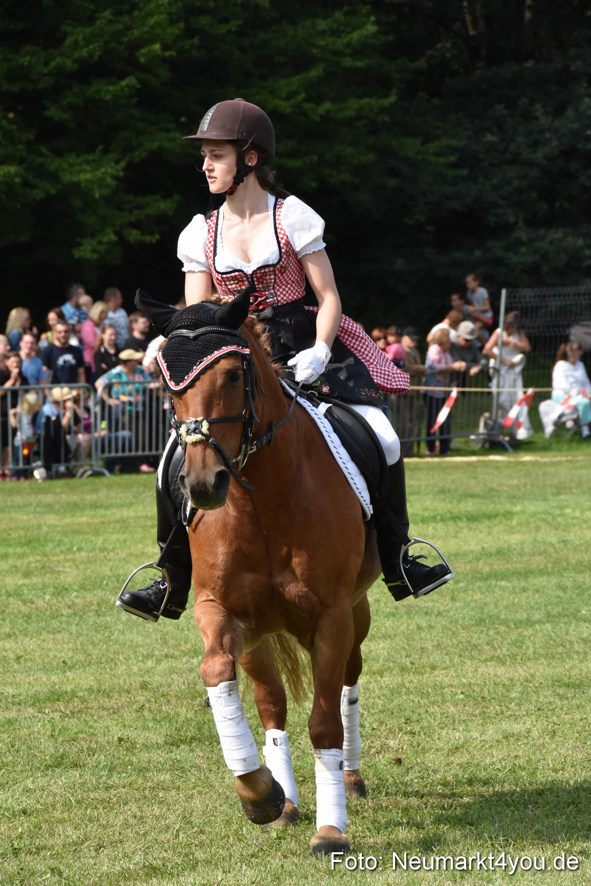 Pferde und Fohlenschau 2017 0262