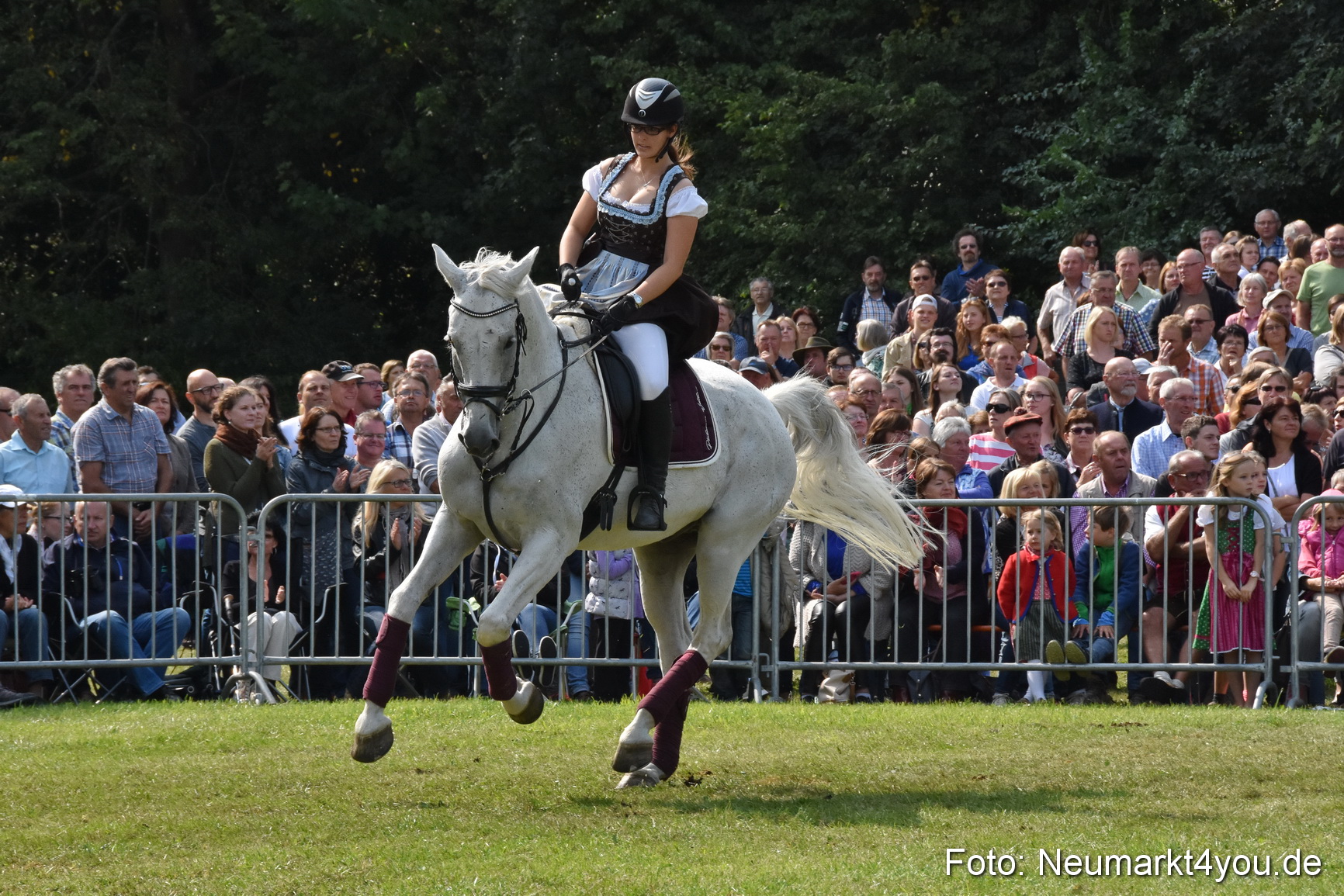 Pferde und Fohlenschau 2017 0263