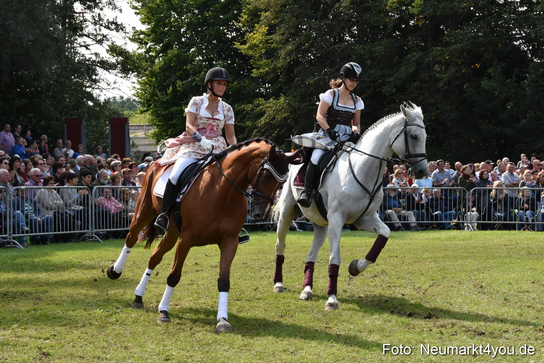 Pferde und Fohlenschau 2017 0264
