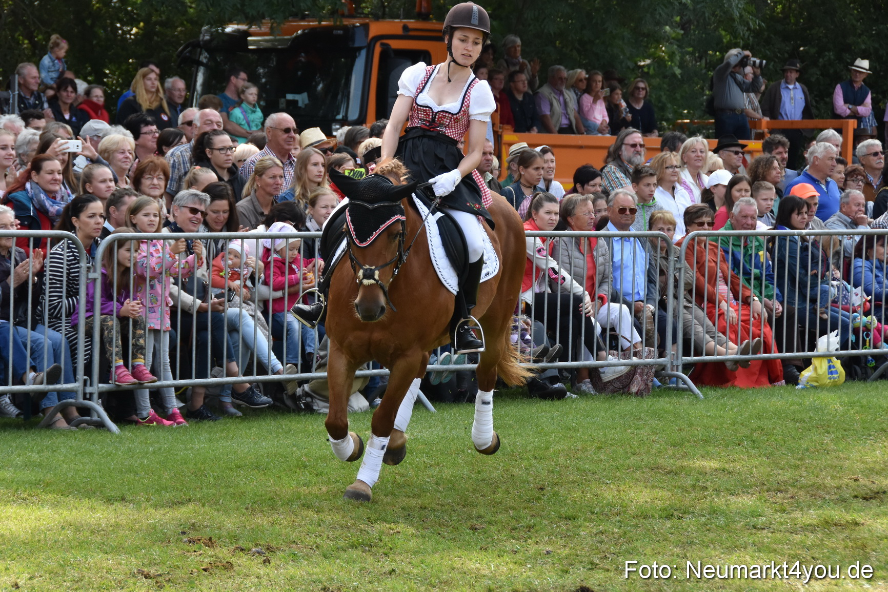 Pferde und Fohlenschau 2017 0265