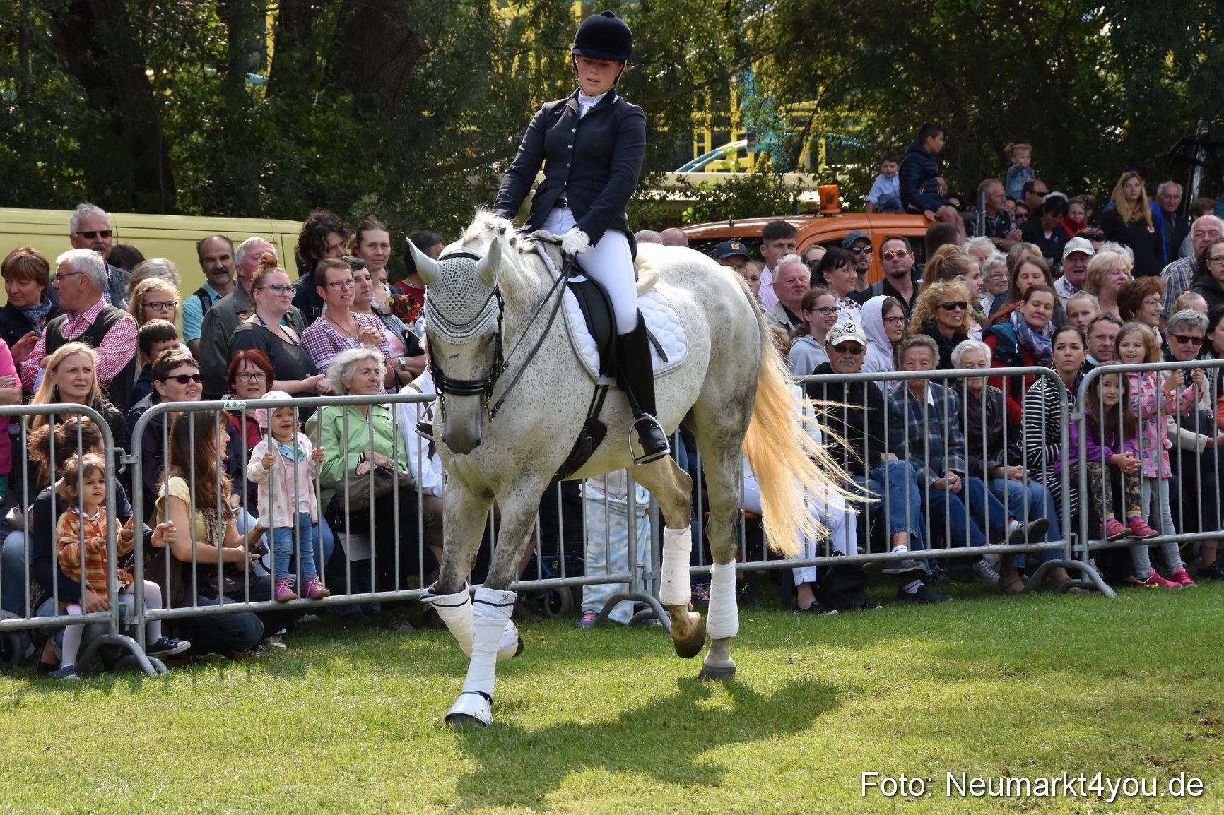 Pferde und Fohlenschau 2017 0266