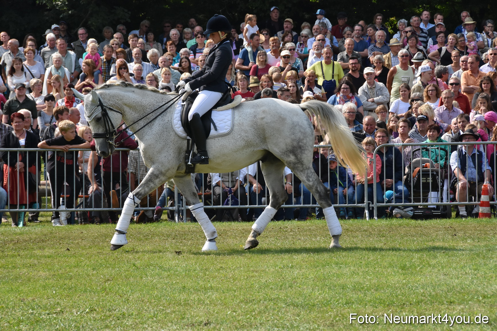 Pferde und Fohlenschau 2017 0267