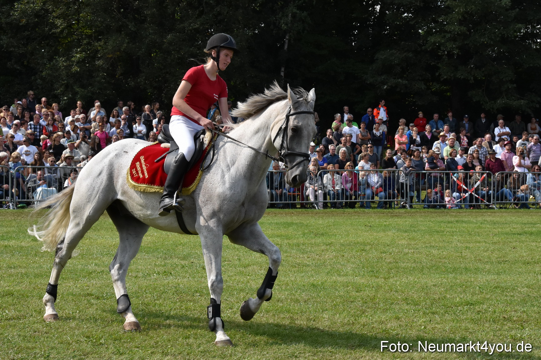 Pferde und Fohlenschau 2017 0270