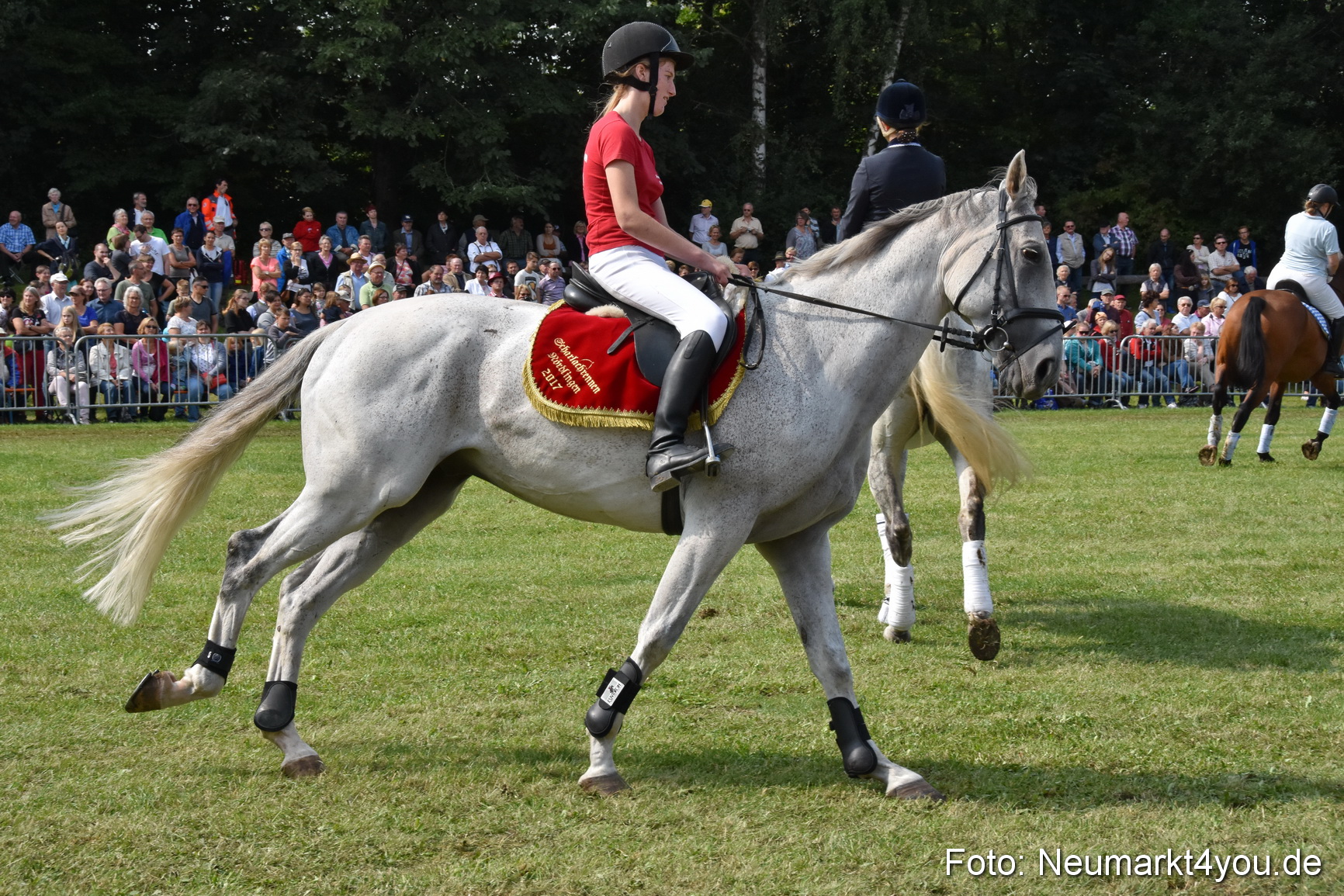 Pferde und Fohlenschau 2017 0271