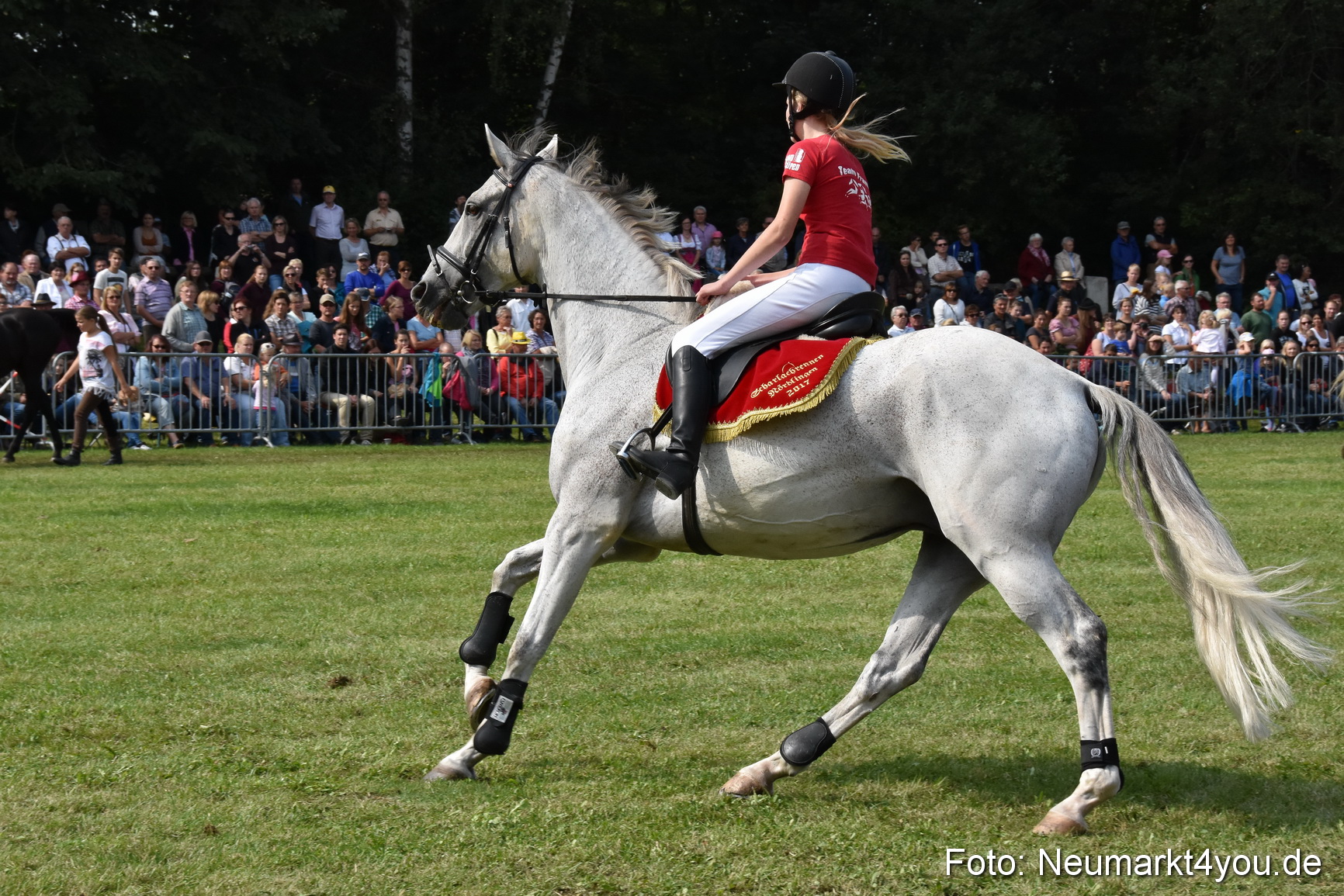 Pferde und Fohlenschau 2017 0272