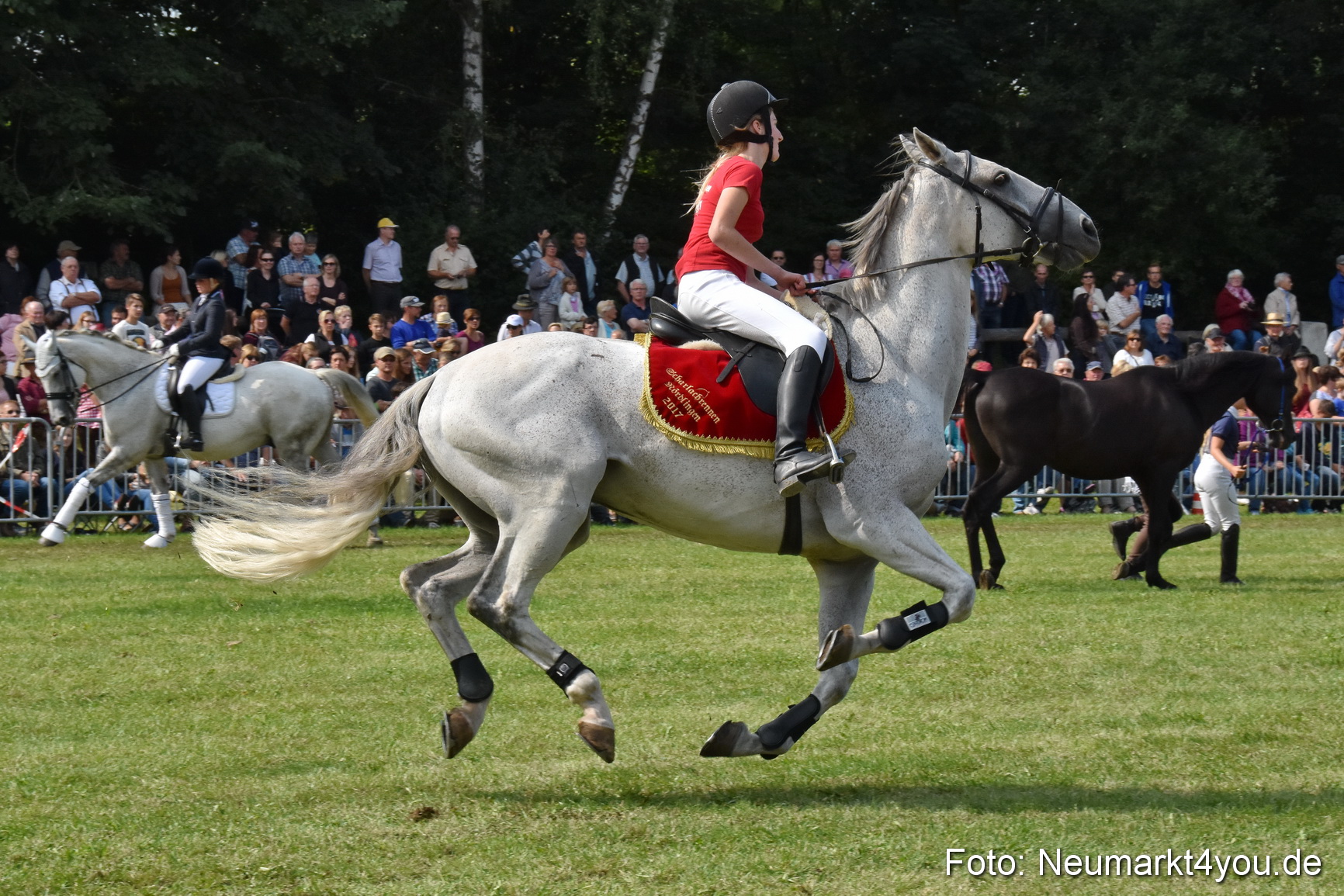 Pferde und Fohlenschau 2017 0273