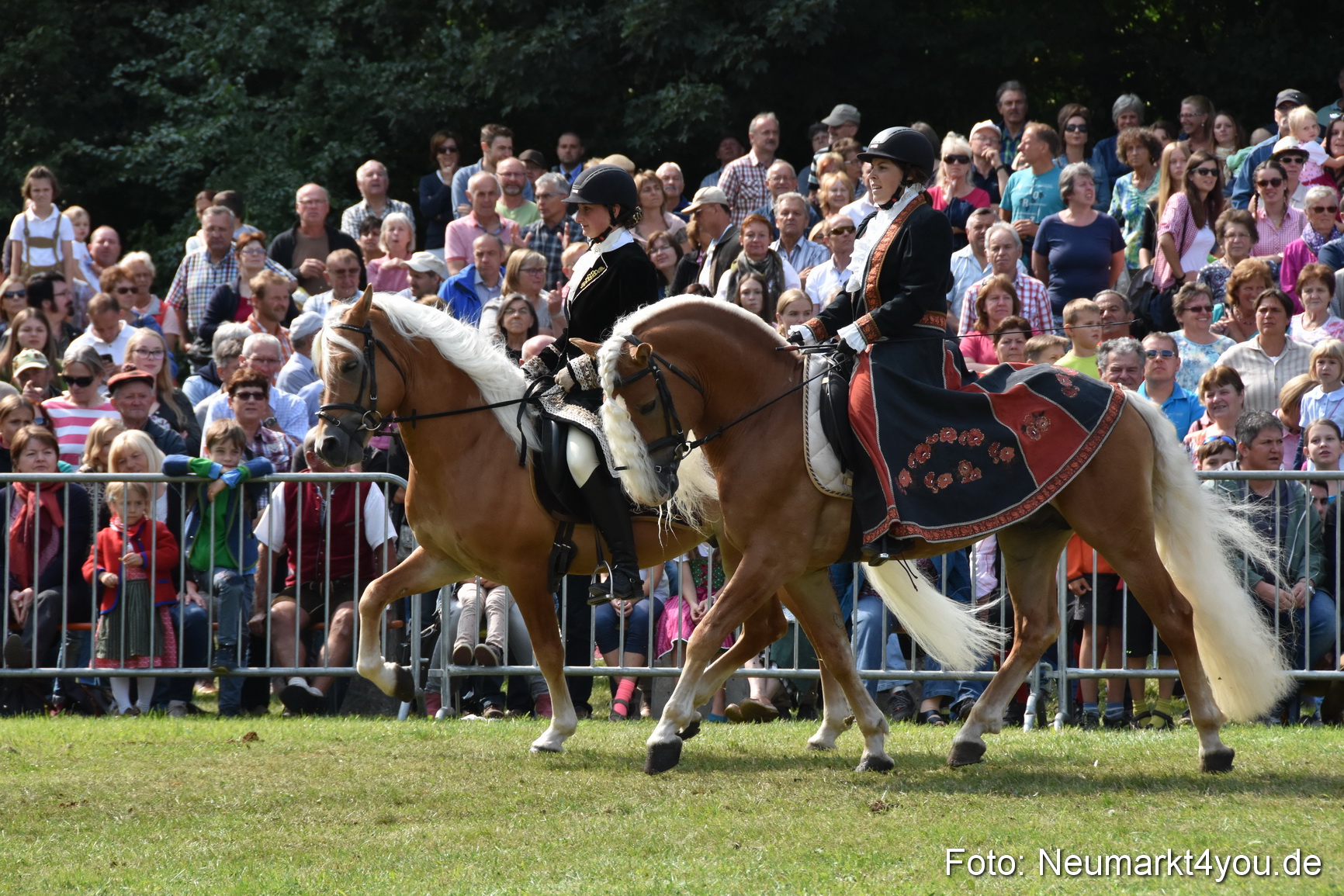 Pferde und Fohlenschau 2017 0274