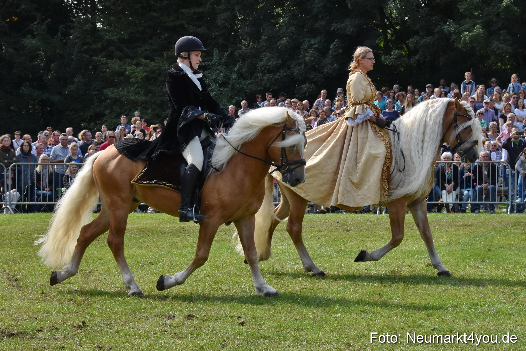 Pferde und Fohlenschau 2017 0275