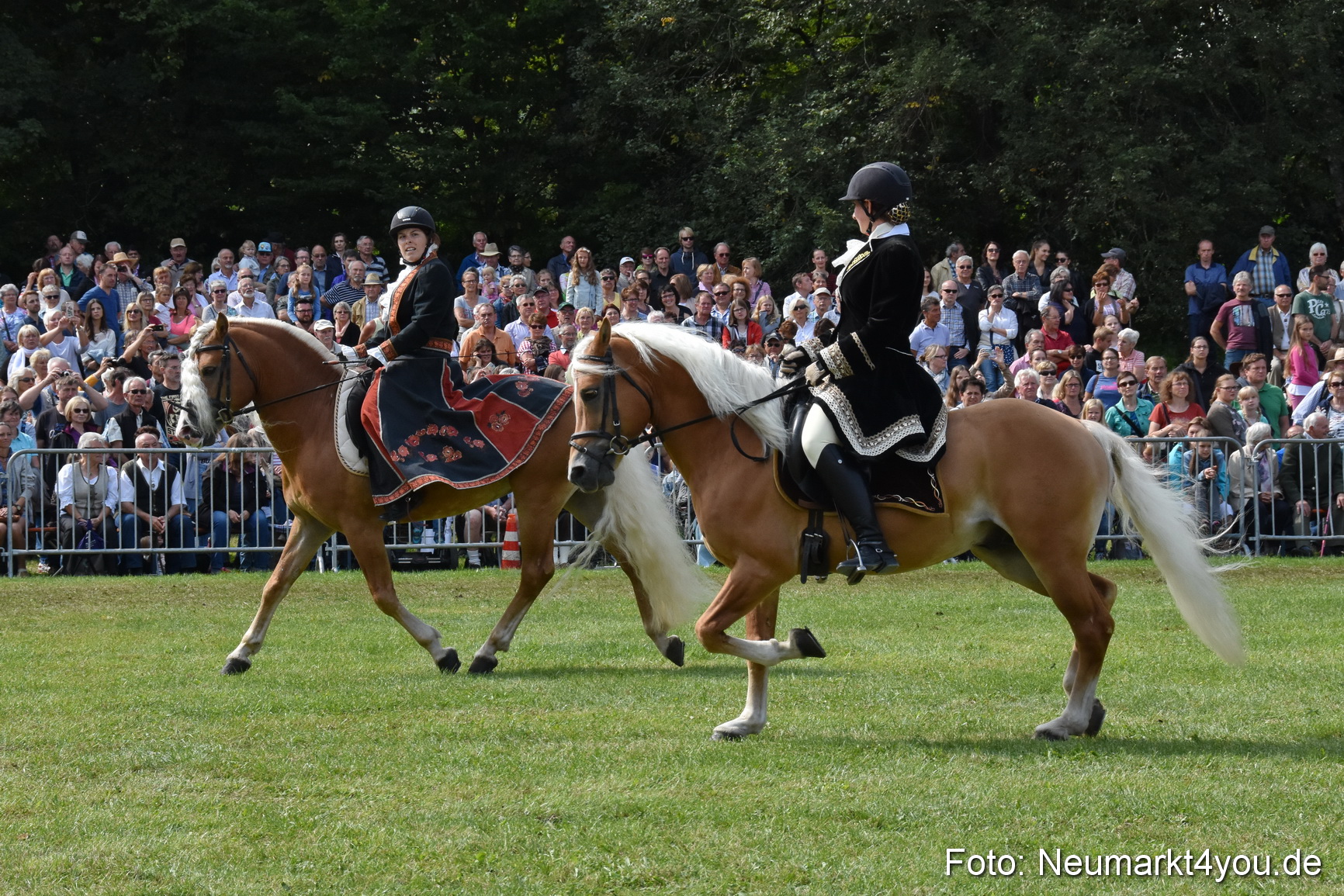 Pferde und Fohlenschau 2017 0276