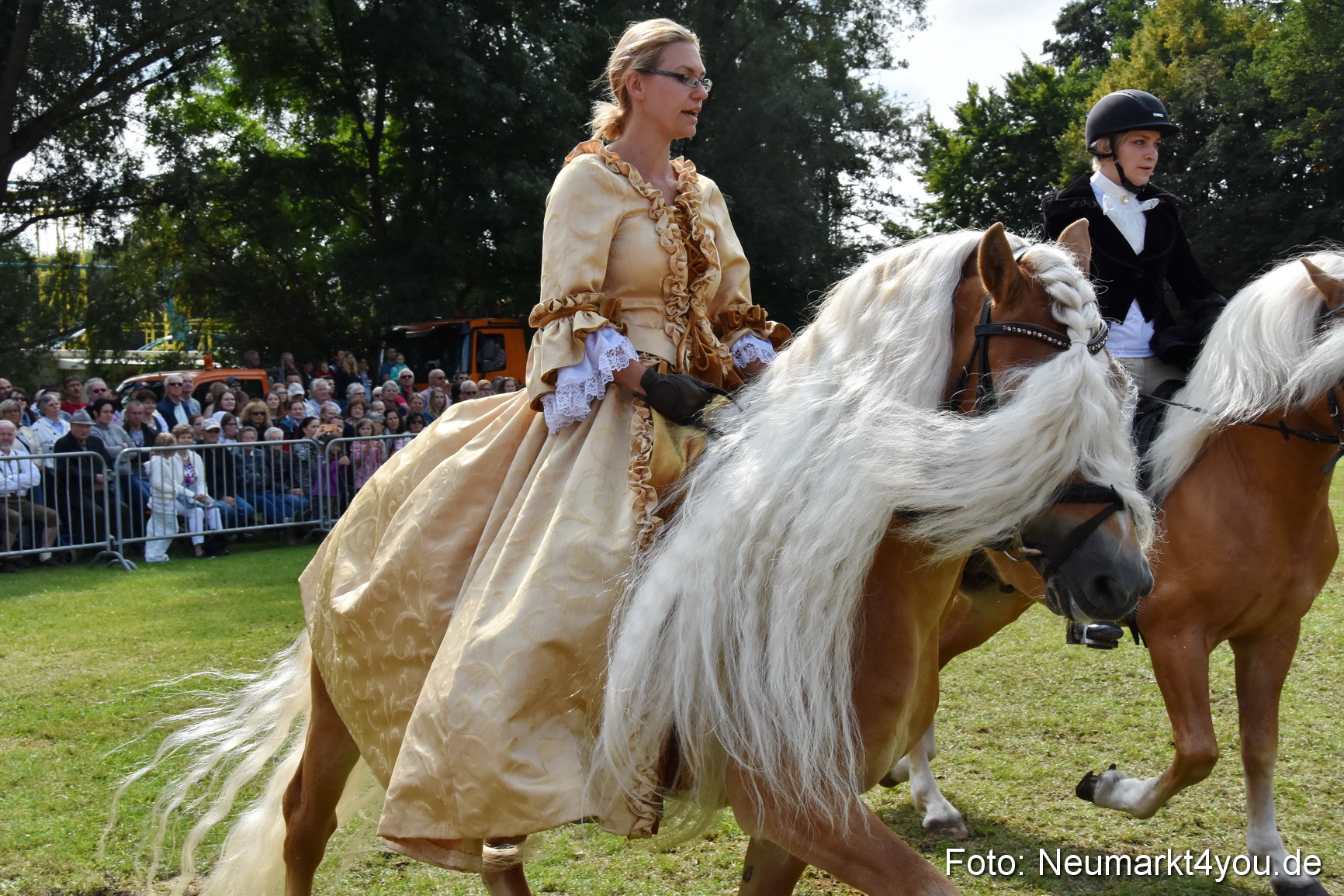 Pferde und Fohlenschau 2017 0277