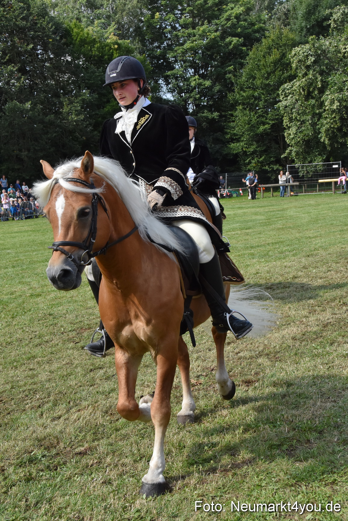 Pferde und Fohlenschau 2017 0278