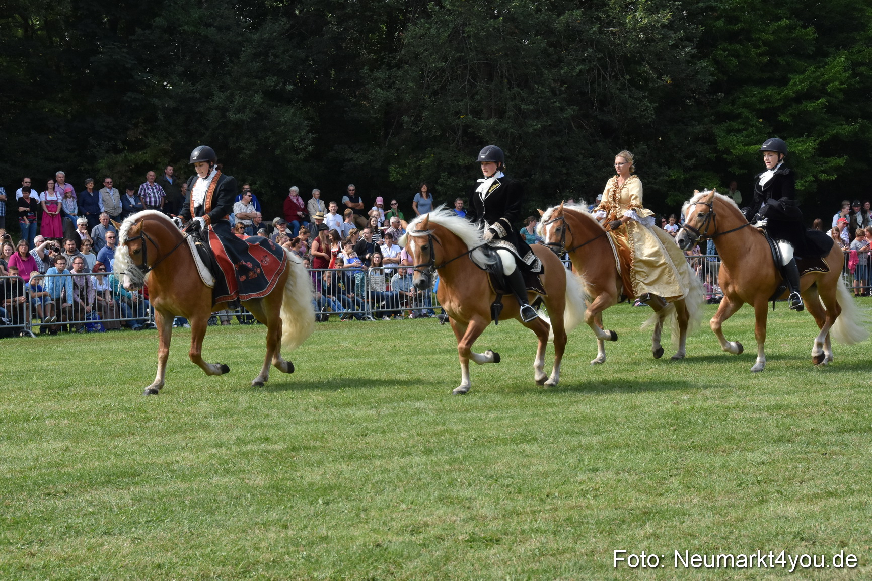 Pferde und Fohlenschau 2017 0279