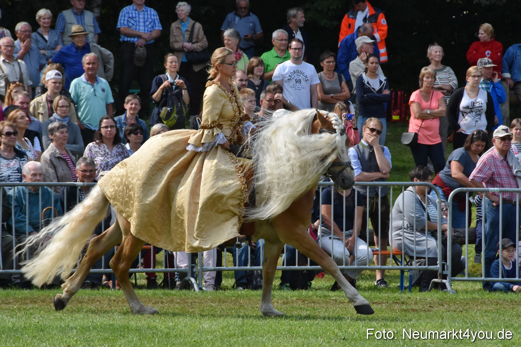 Pferde und Fohlenschau 2017 0280