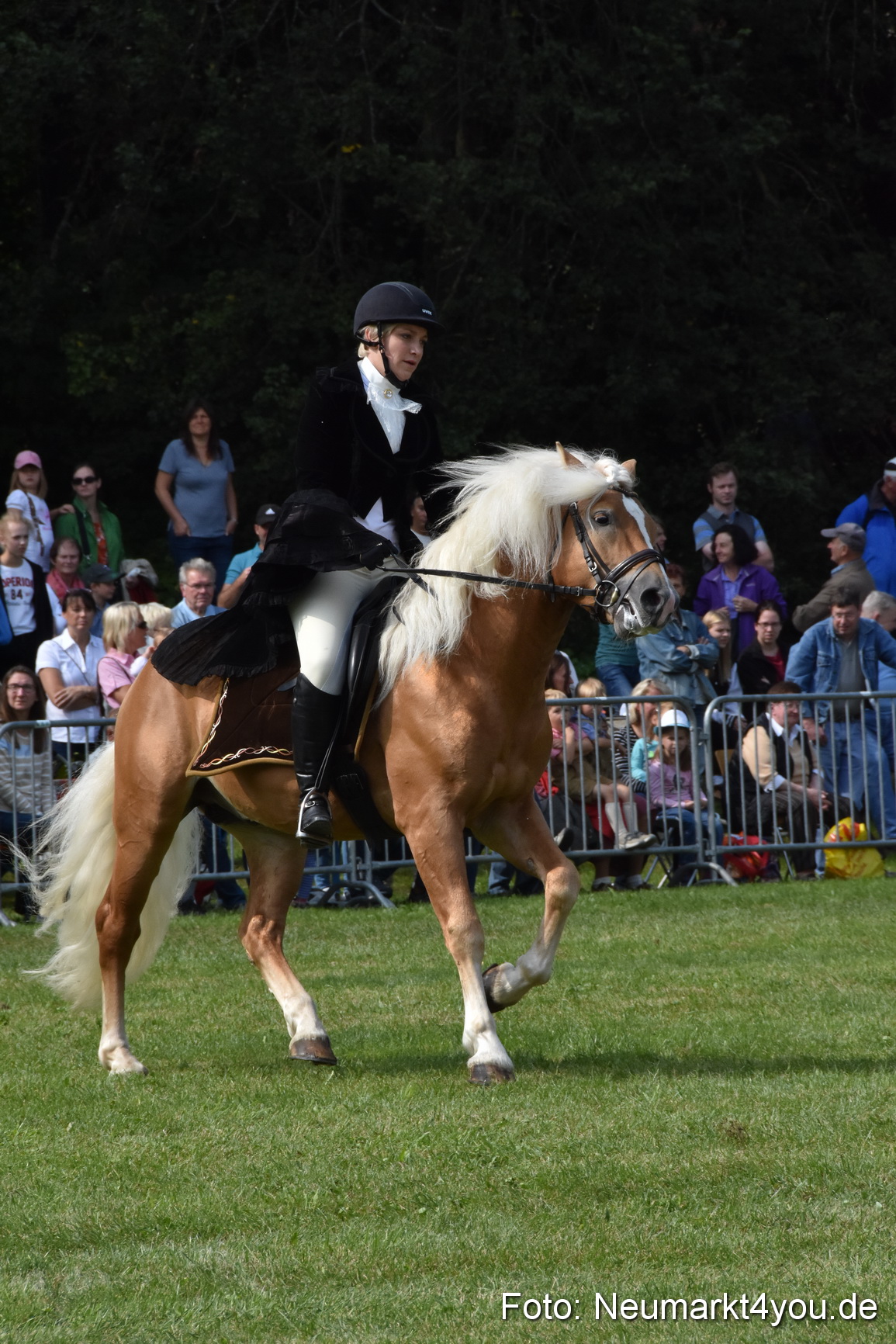 Pferde und Fohlenschau 2017 0281