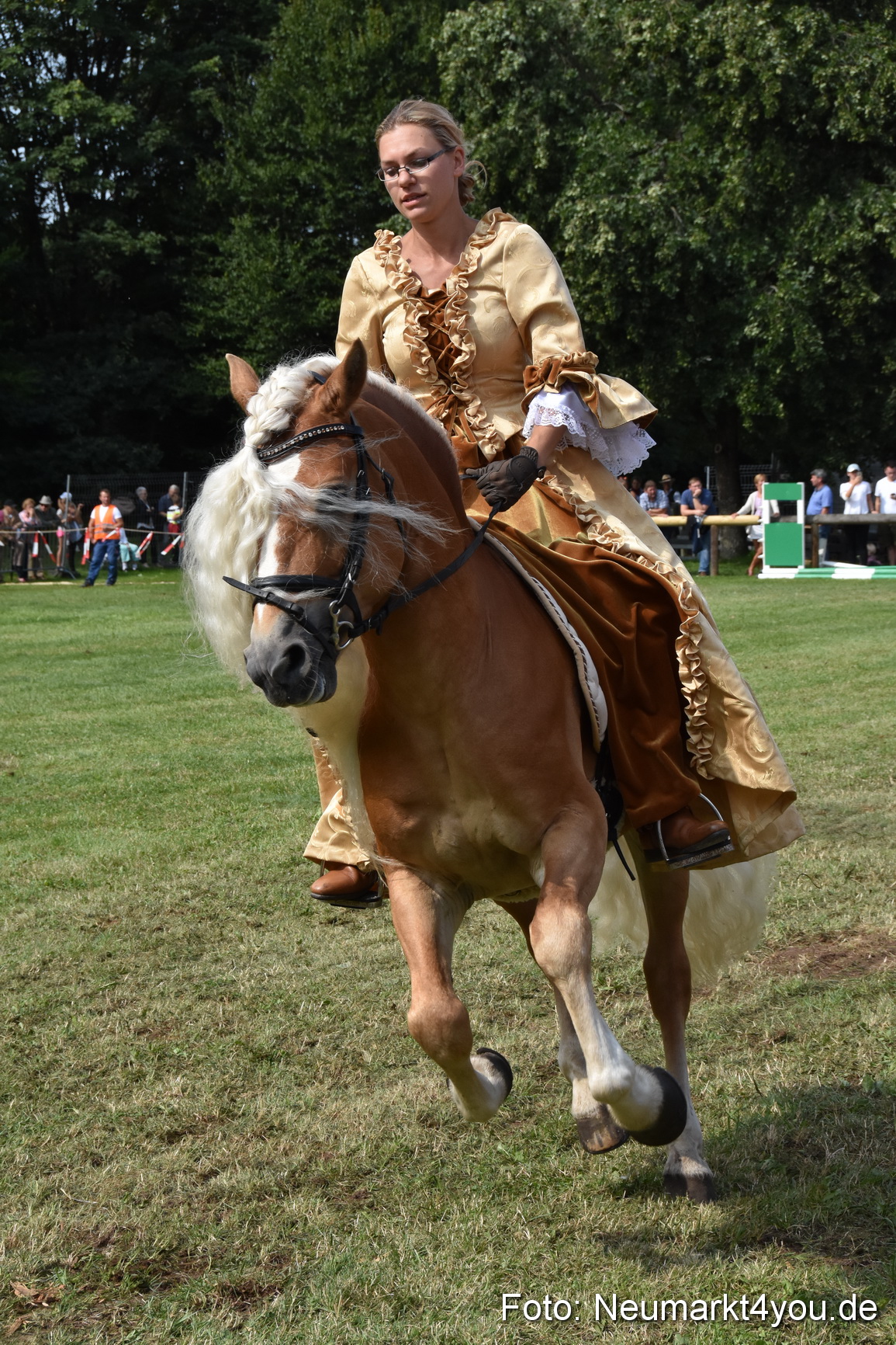 Pferde und Fohlenschau 2017 0282