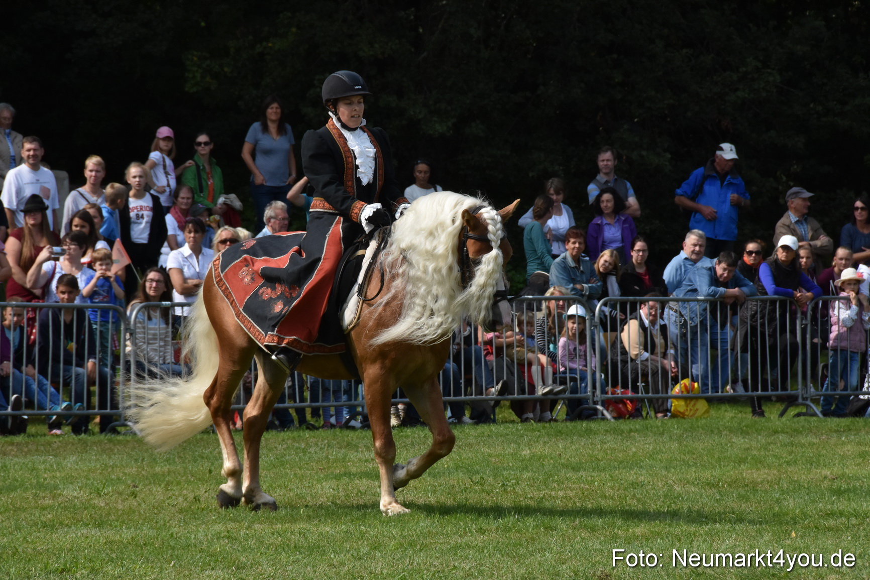 Pferde und Fohlenschau 2017 0283