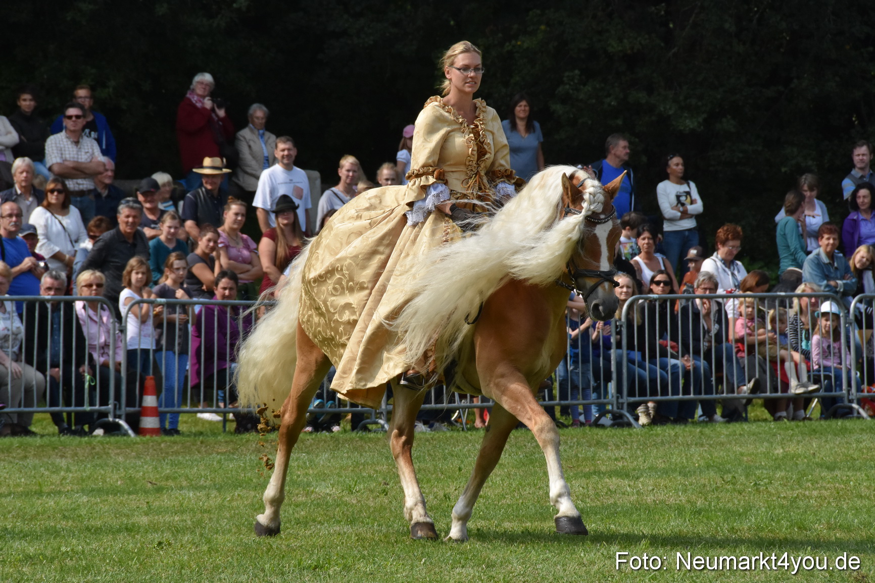 Pferde und Fohlenschau 2017 0284