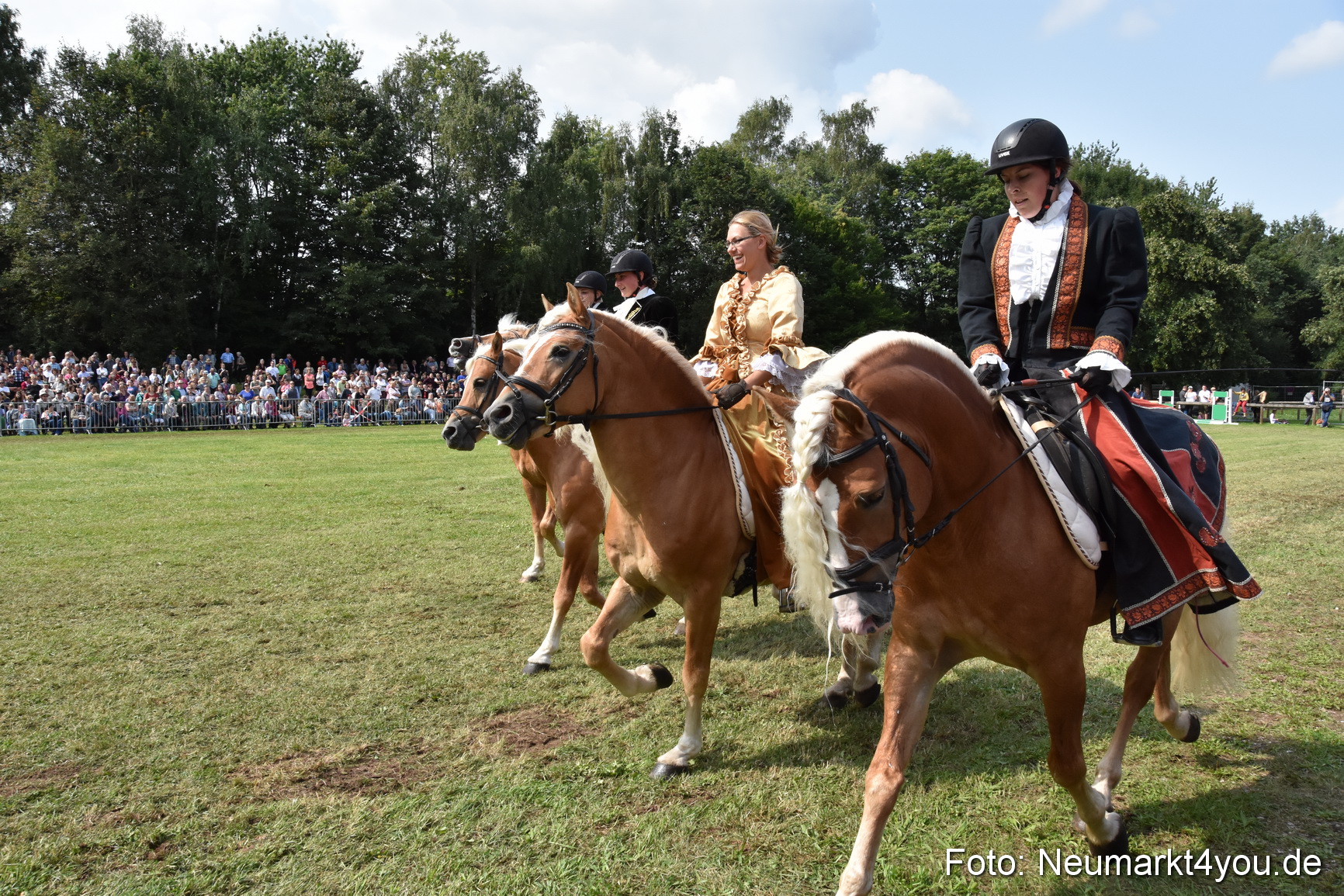 Pferde und Fohlenschau 2017 0285
