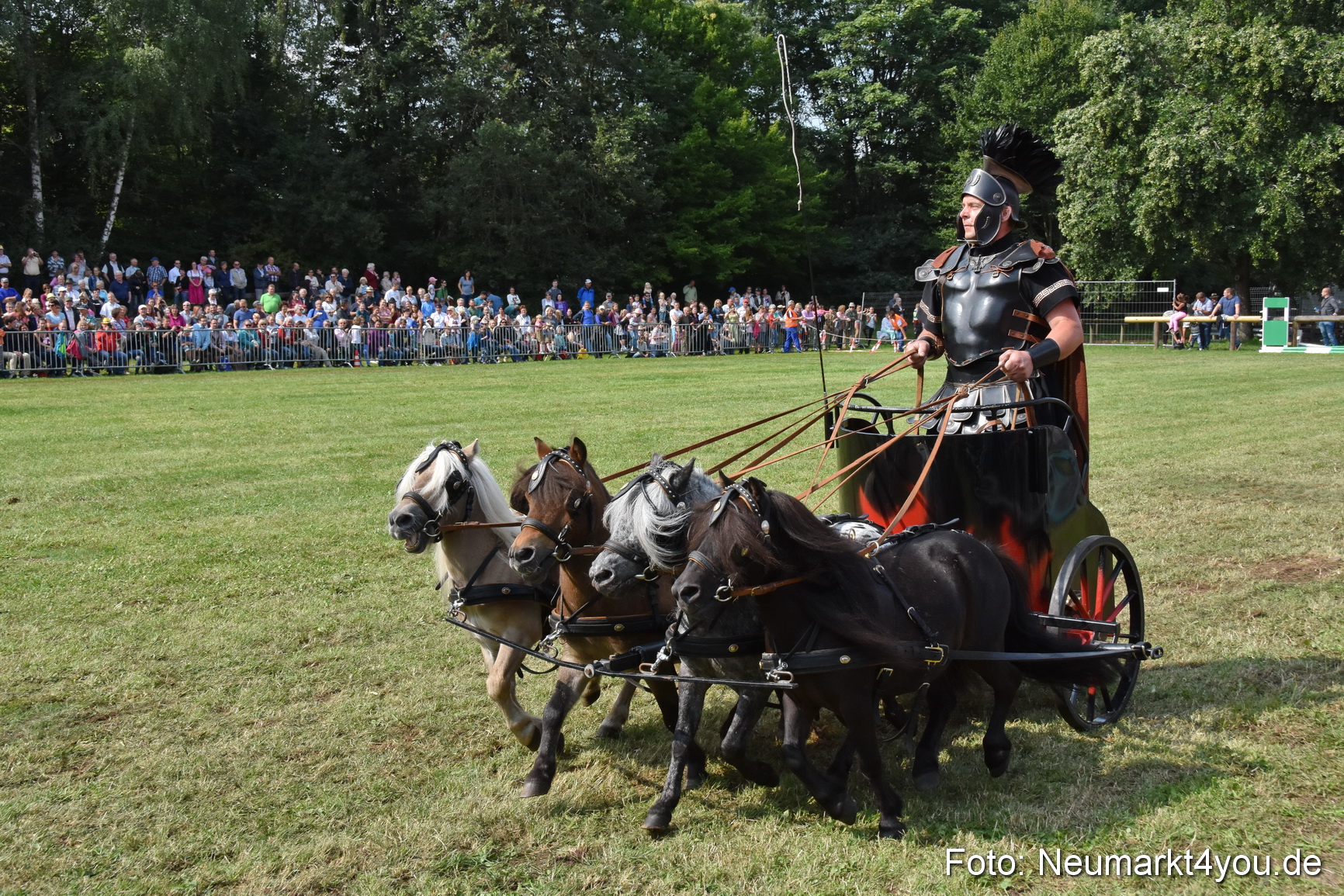 Pferde und Fohlenschau 2017 0286