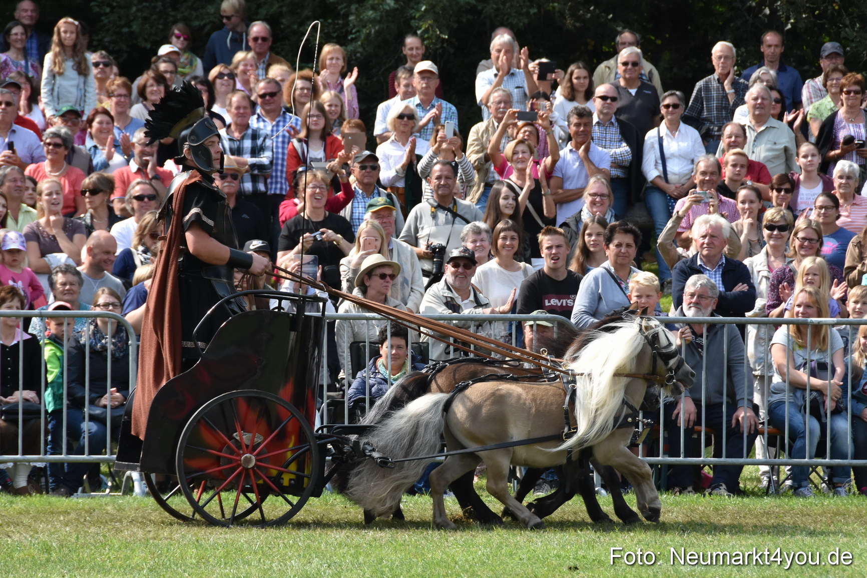 Pferde und Fohlenschau 2017 0287