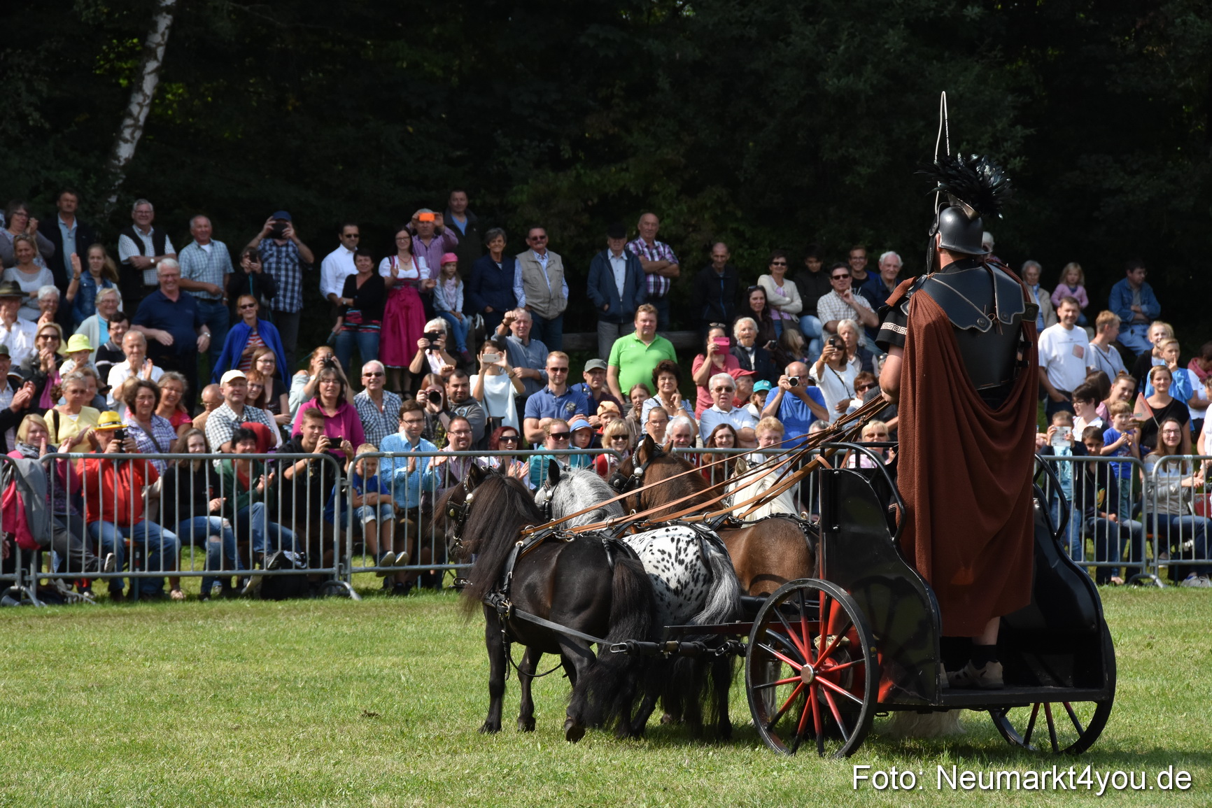 Pferde und Fohlenschau 2017 0288