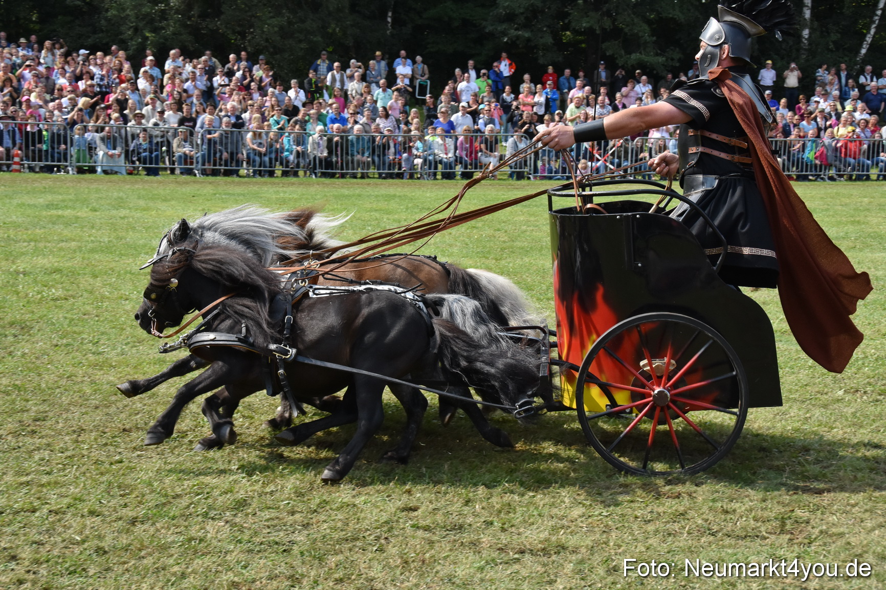 Pferde und Fohlenschau 2017 0289